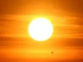 Solen